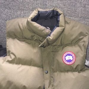 Canada goose